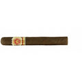 Arturo Fuente Magnum R Rosado Sungrown No. 54
