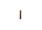 Davidoff Nicaragua Robusto Tubo product photo on white background at Cigar Club Miami