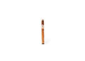 La Aurora 120th Anniversary Edition single cigar front
